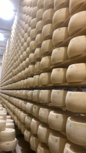 forme di formaggio della cooperativa Piemonte Latte