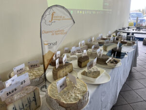 festival formaggi piemontesi